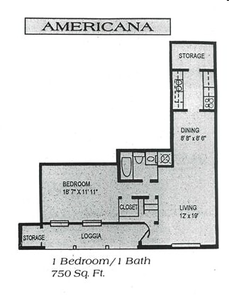 Americana - Sedgefield Apartments