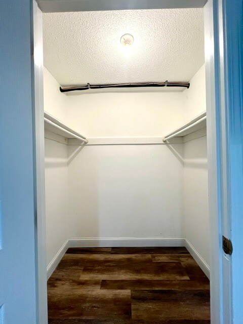 Primary Bedroom Walk-in Closet - 103 Main St
