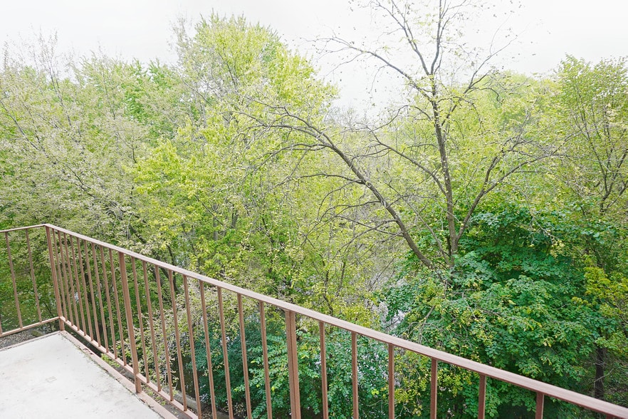 balcony view - 603 S River Rd