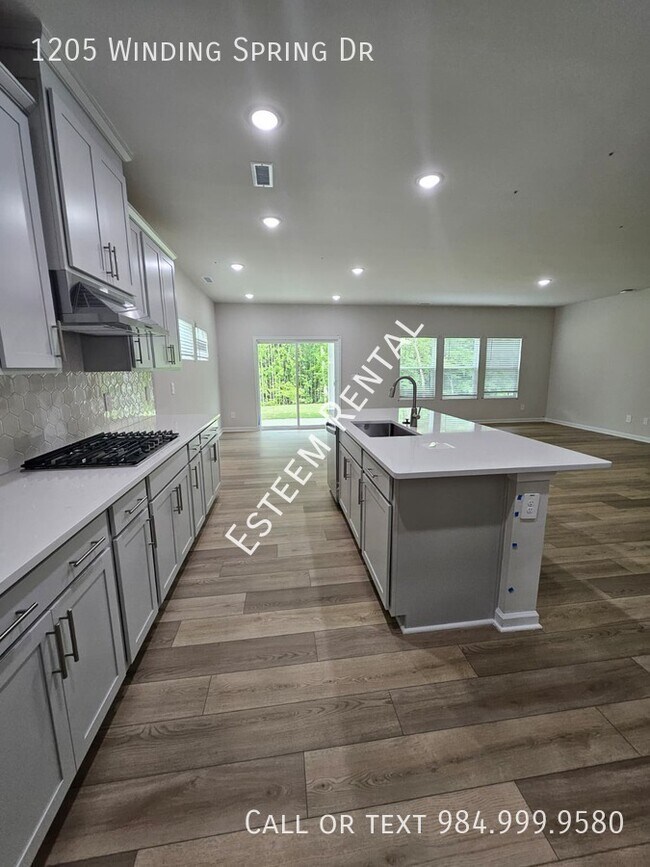Building Photo - 1205 Winding Spg Dr