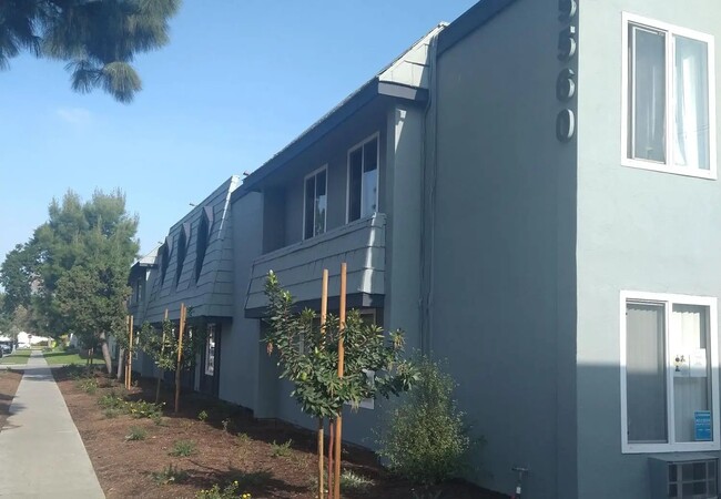 Primary Photo - 5560 Ackerfield Ave