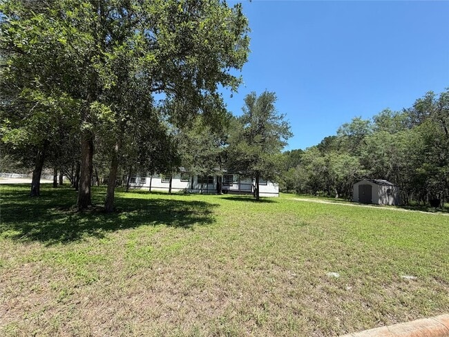 Building Photo - 236 Live Oak Dr