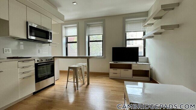 Building Photo - 115 Mt Auburn St