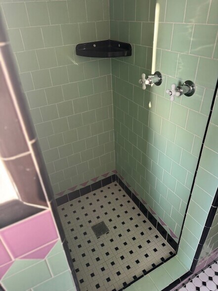 shower - 2203 S Harcourt Ave