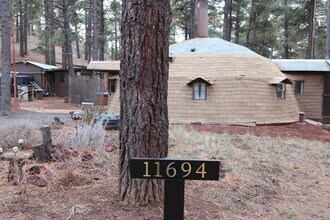 Building Photo - Unique Dome-Shaped Studio Surrounded by Ponderosa Pines With MOVE-IN Special! $300 off 1st month