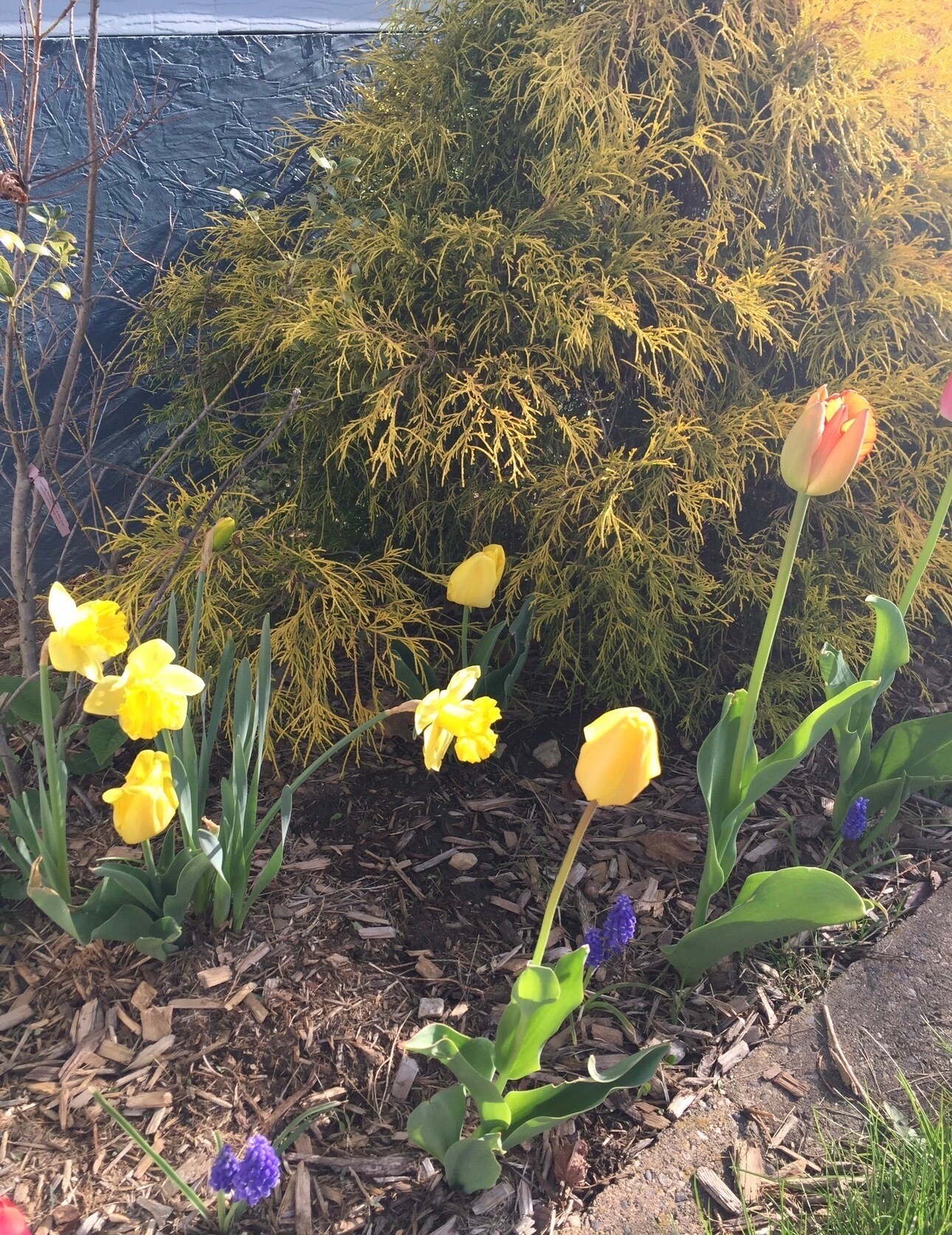 Building Photo - 109 Ridgewood Ave