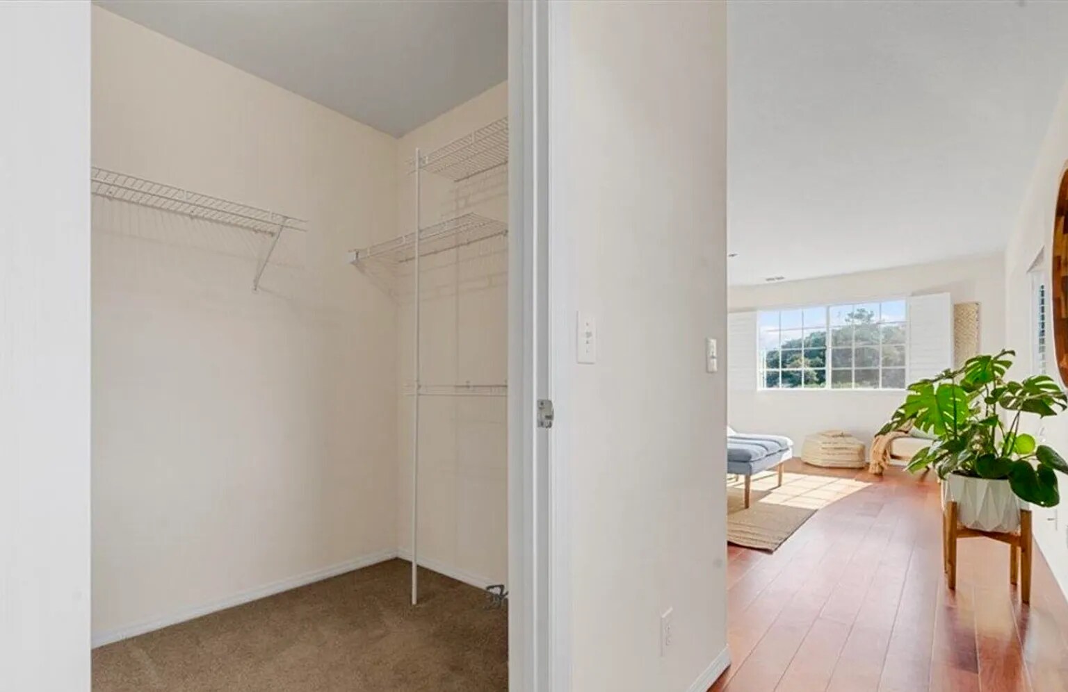 Primary Bedroom Closet. - 221 Appy Way