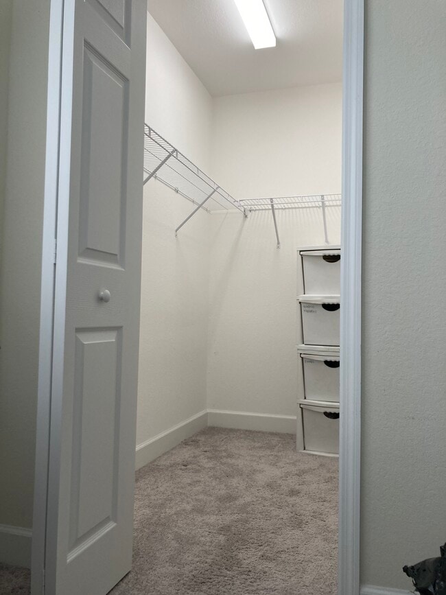 Building Photo - 350 Piper Ave