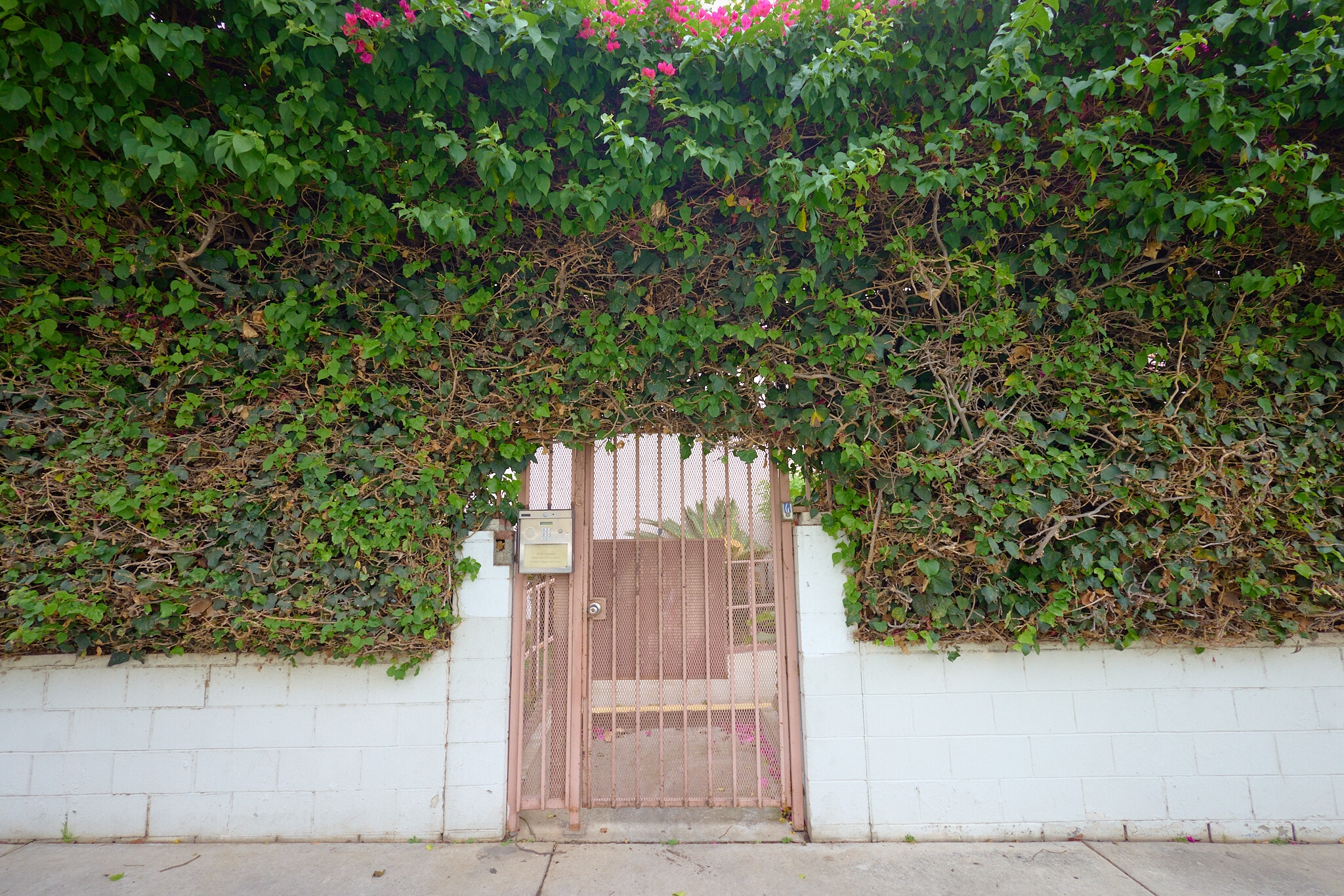 Building Photo - 1406 N Serrano Ave