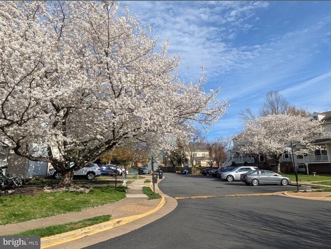 Building Photo - 505 Breckinridge Square SE