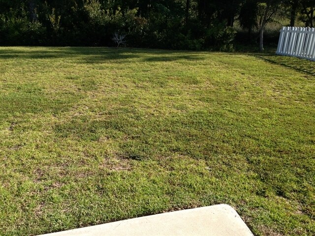 Building Photo - 1229 Wando Shores Dr