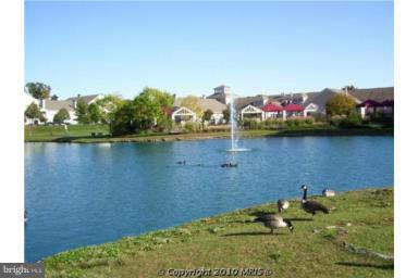 Building Photo - 805 Thicket Ct