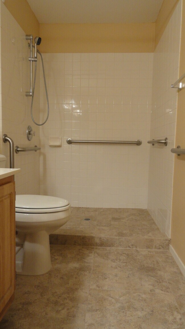 Master Shower - 5710 E Tropicana Ave