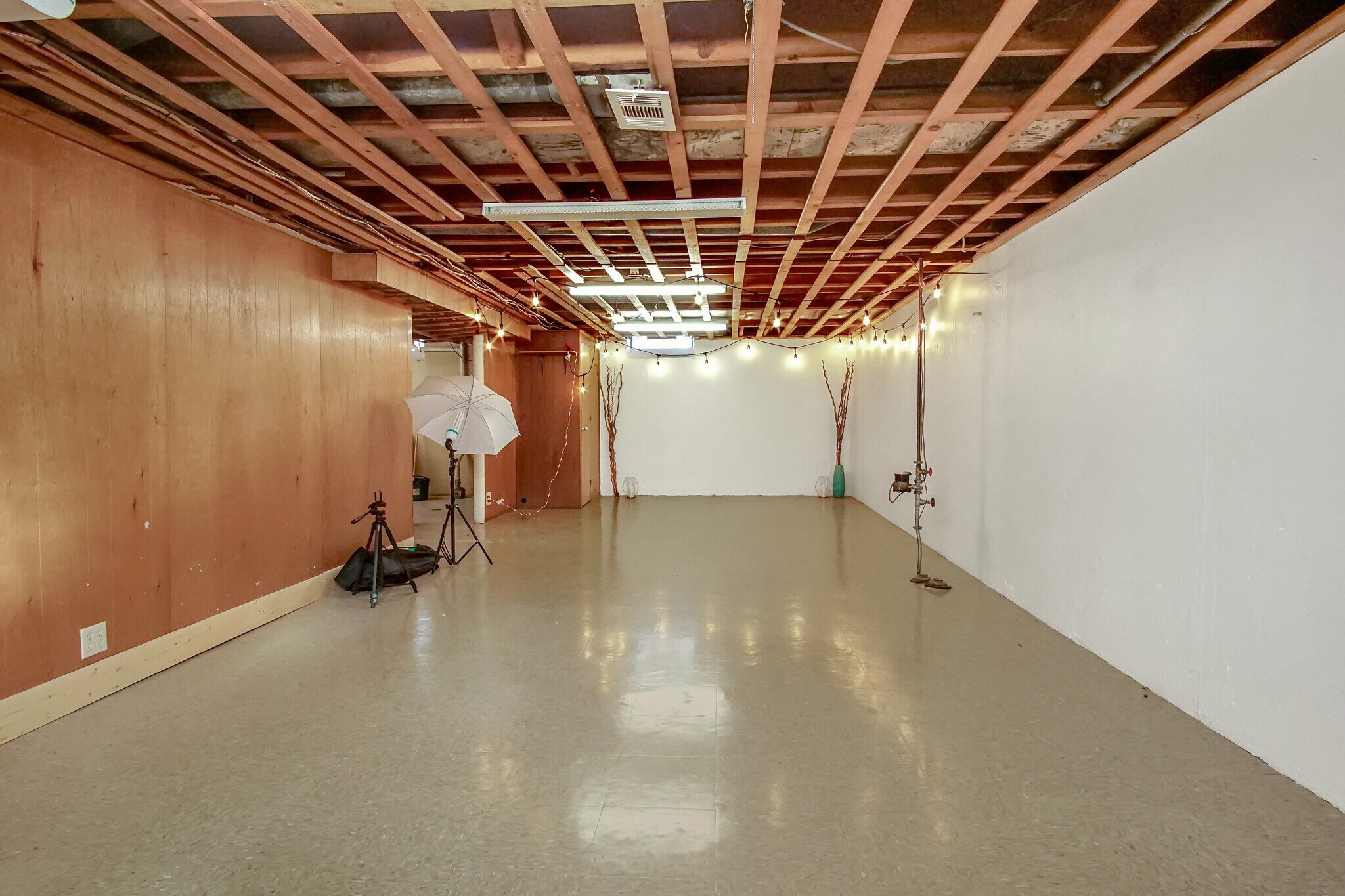 Basement - 24330 Manistee St