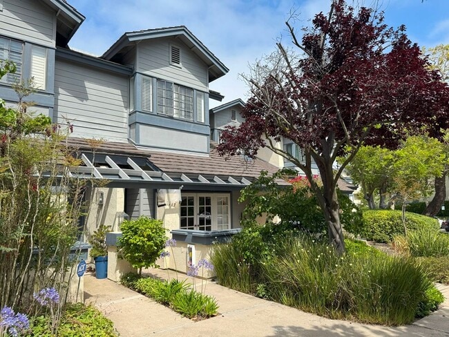 Building Photo - Stunning house in the heart of La Jolla Cl...
