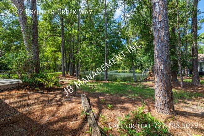 Building Photo - 3162 Brooker Creek Way