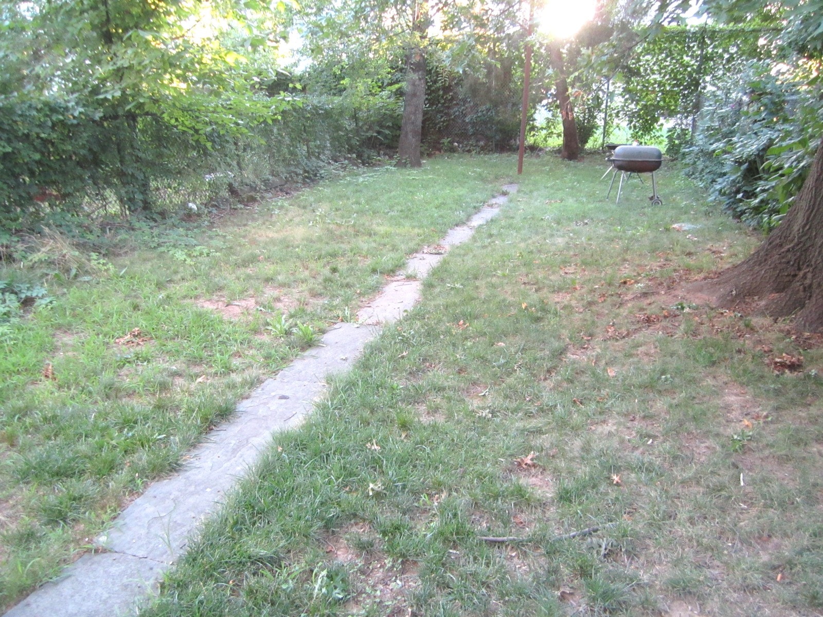 Backyard - 482 Irvine Turner Blvd