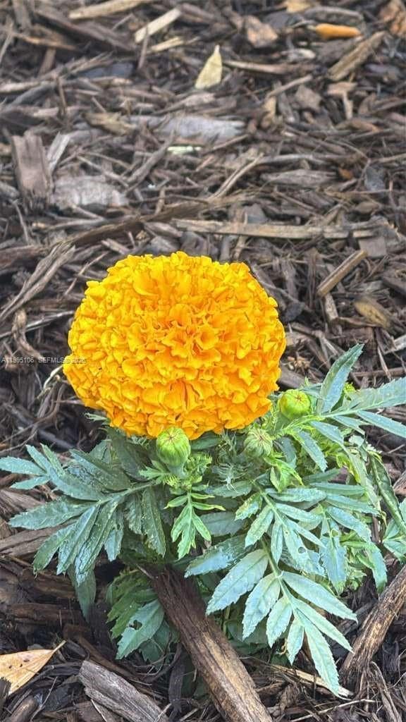 Building Photo - 55 N Sewalls Point Rd