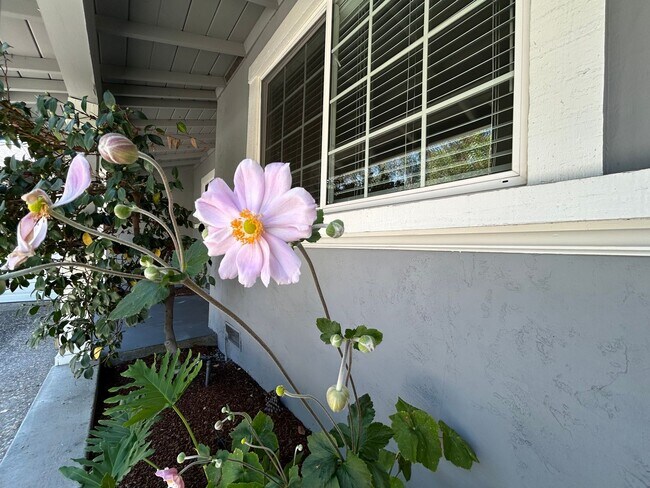 Building Photo - Recently Remodeled Single-Story 3/2 Gem in...