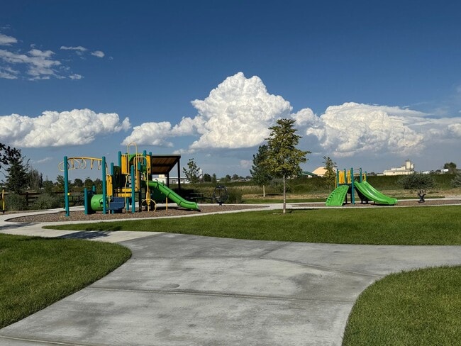 Building Photo - Brand New, Beautiful House-Fort Collins/Windsor