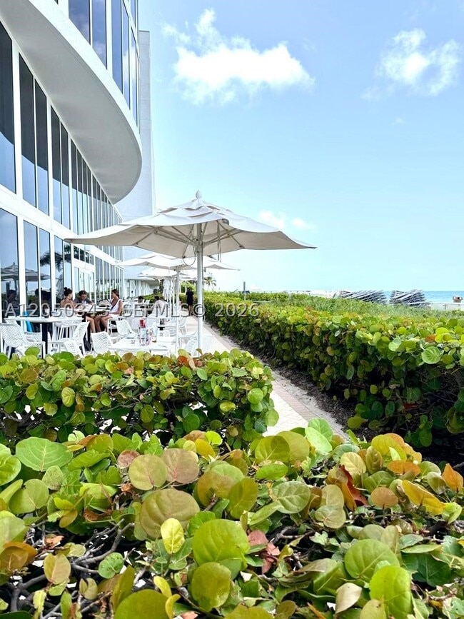 Building Photo - 15901 Collins Ave