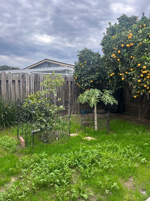 Building Photo - 4443 Estada Dr