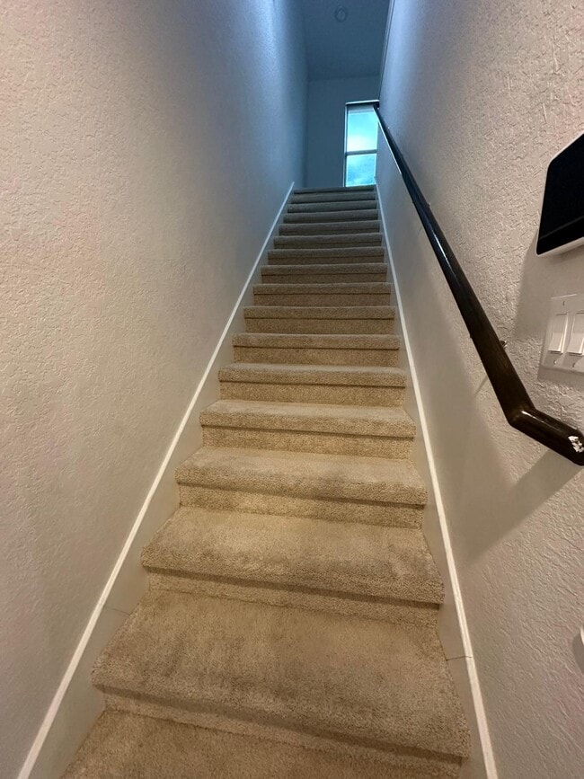 Building Photo - 2430 Castello Wy