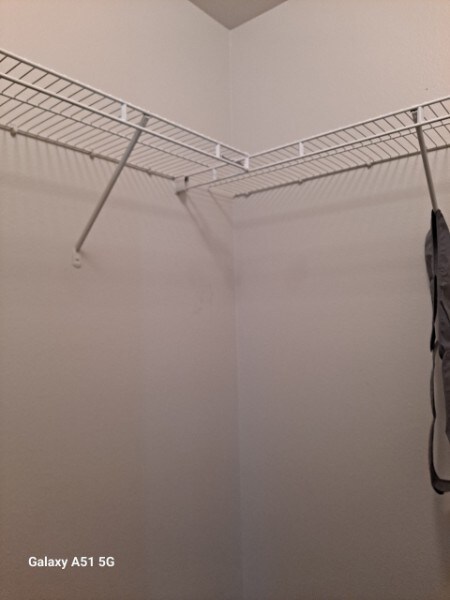 Building Photo - 6101 Chalk Hollow Dr