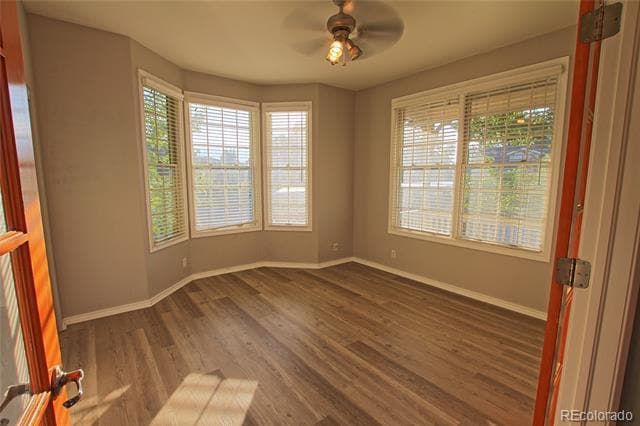 Building Photo - 4316 Timber Hollow Loop