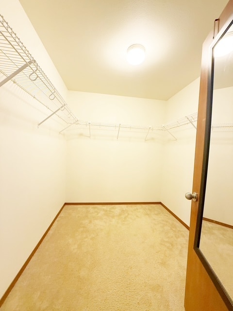 Building Photo - 4316 Wigeon Ave SW