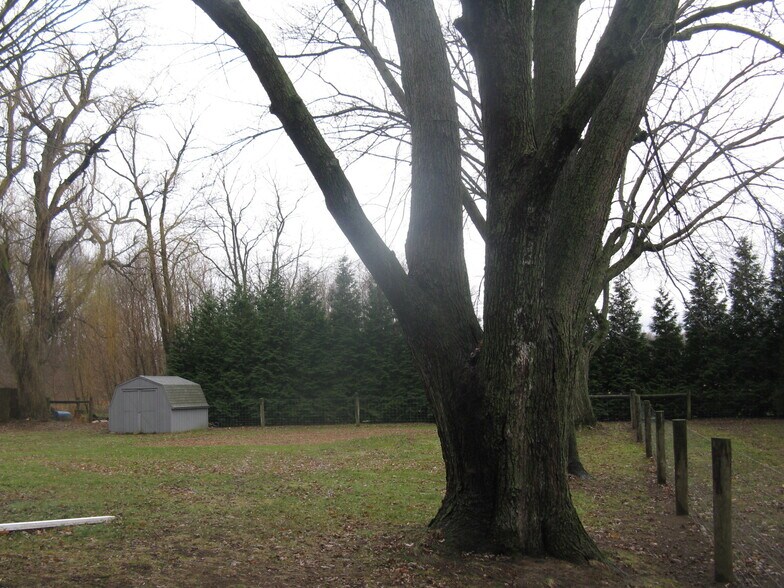 Backyard with Shed (wood floor) - 3718 N 700 W