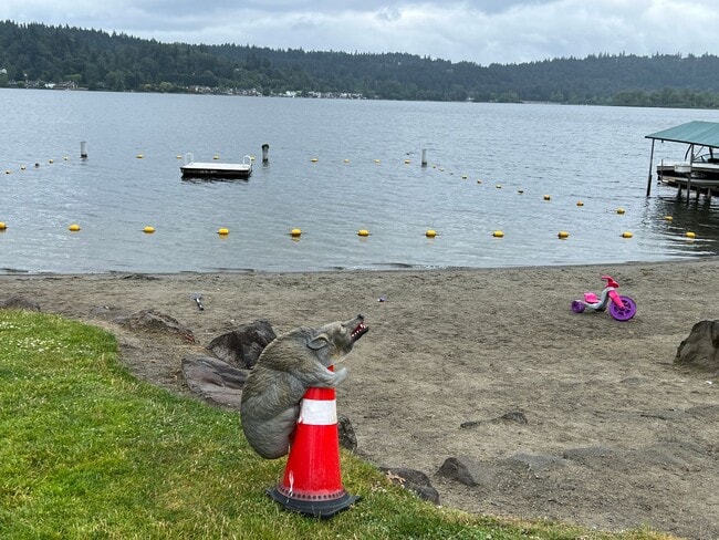 Building Photo - Private access to Lake Sammamish house