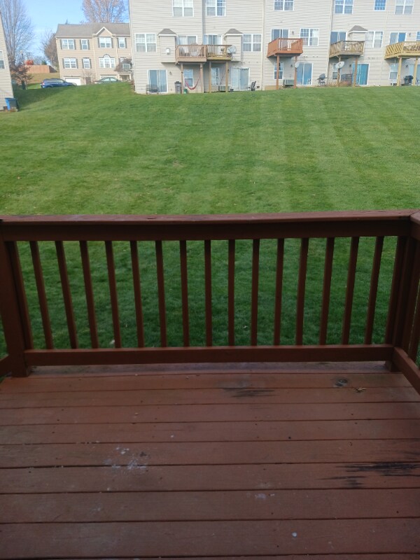 Building Photo - 123 Bradford St