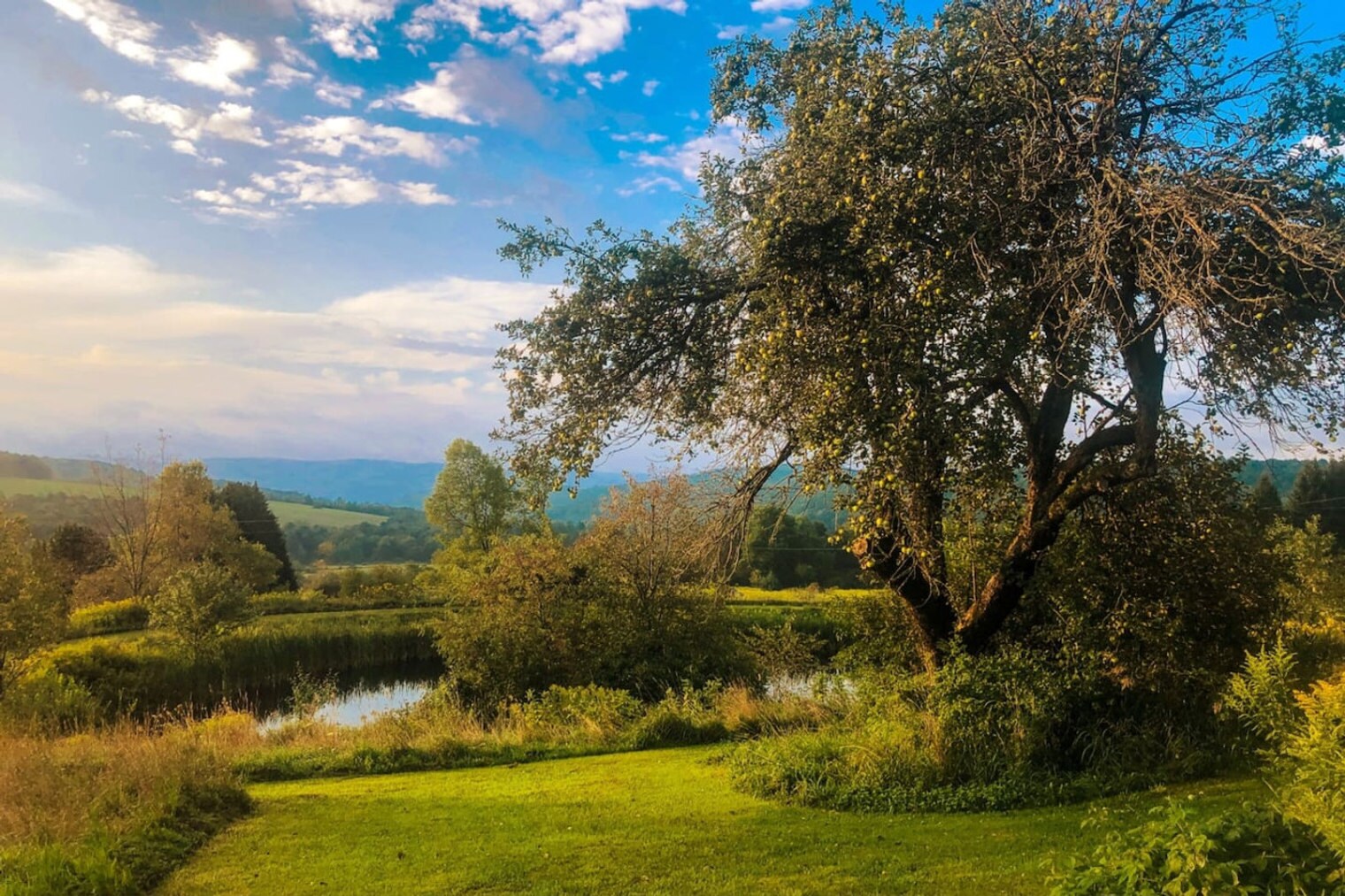 Building Photo - 3924 Hamden Hill Rd