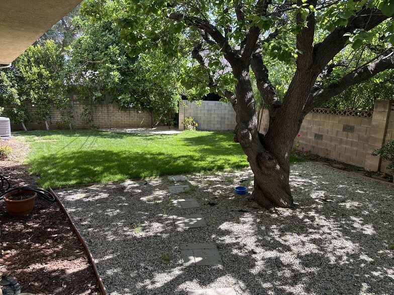 Backyard - 5318 Alhama Dr