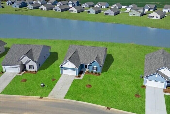 Building Photo - 677 Castillo Dr