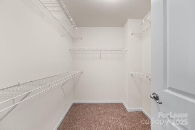 Building Photo - 4061 Zilker Park Dr