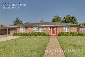 Building Photo - 237 Cedar Crest