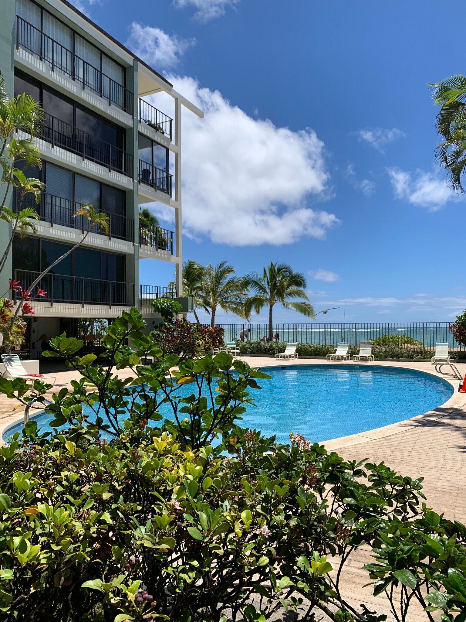 Enjoy an OceanFront Pool, Gym and Library - 4999 Kahala Ave