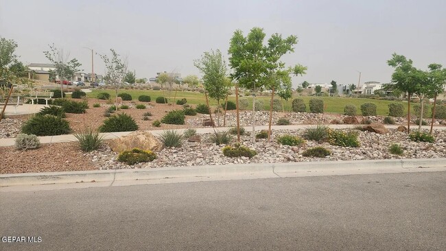 Building Photo - 12869 Woolstone Dr