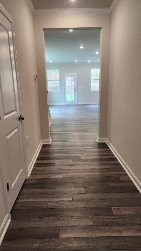 Building Photo - 1520 Foal Run Trl