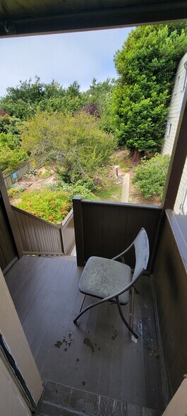 Backyard - 3938 Mission St