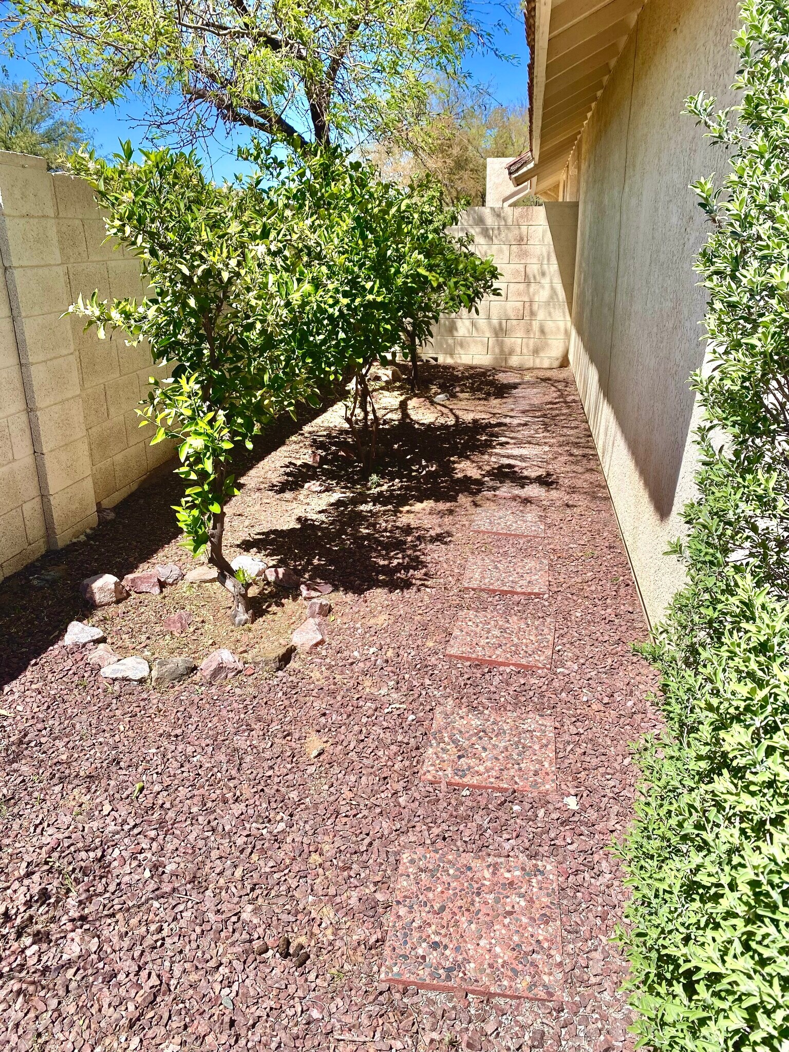 Backyard side view - 200 E Belcourte Pl