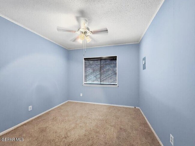 Building Photo - 921 Olive Ave