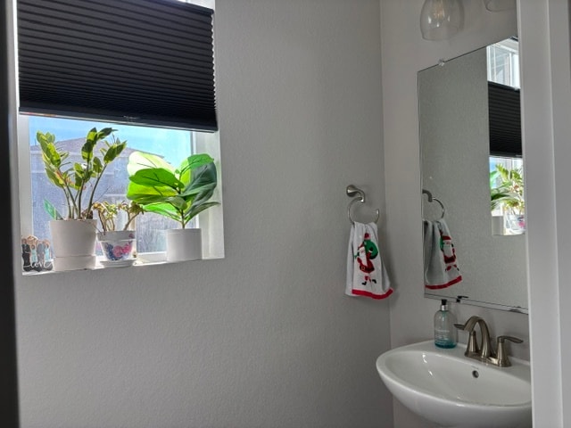 Building Photo - 2828 Low Meadow Blvd