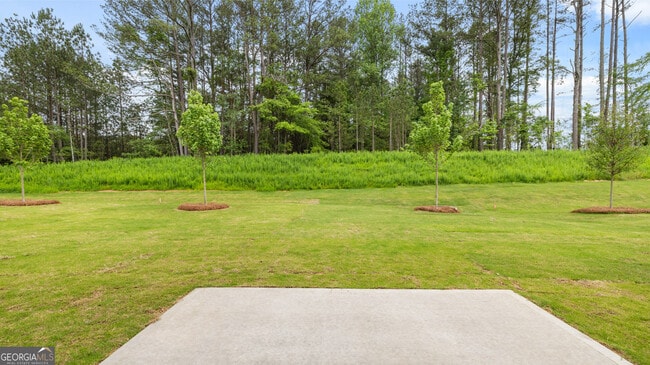 Building Photo - 17 Woodbrook Trl