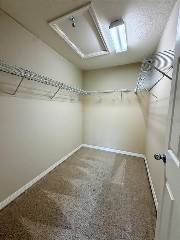 Building Photo - 7020 Woodchase Glen Dr