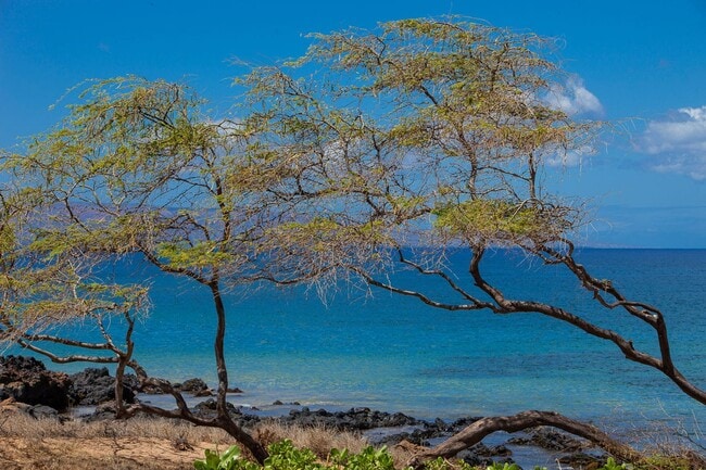 Building Photo - Fully Furnished, 1 Bed/2 Bath, Kamaole Sands