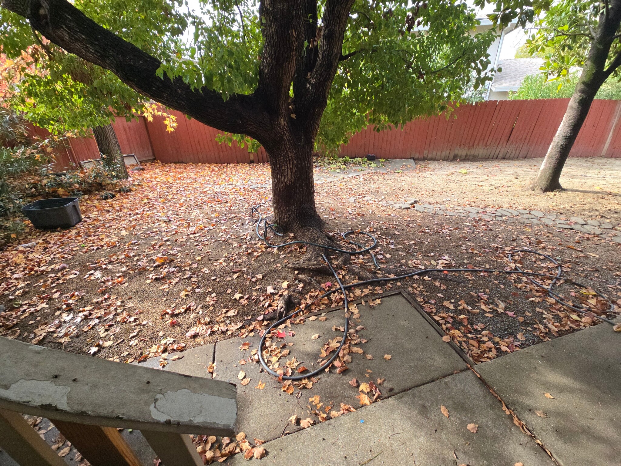 Building Photo - 2412 Carta Ct