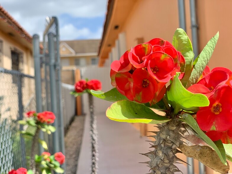 Building Photo - 6411 W 22nd Ct